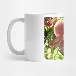 Serene Beauty: Red-Green Venus Slipper Orchids Print Mug